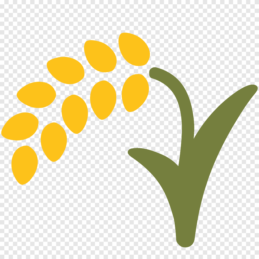 png clipart yellow and green plant asian cuisine rice emoji symbol android rice leaf text